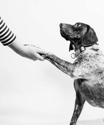 construir confianza verdad en copywriting