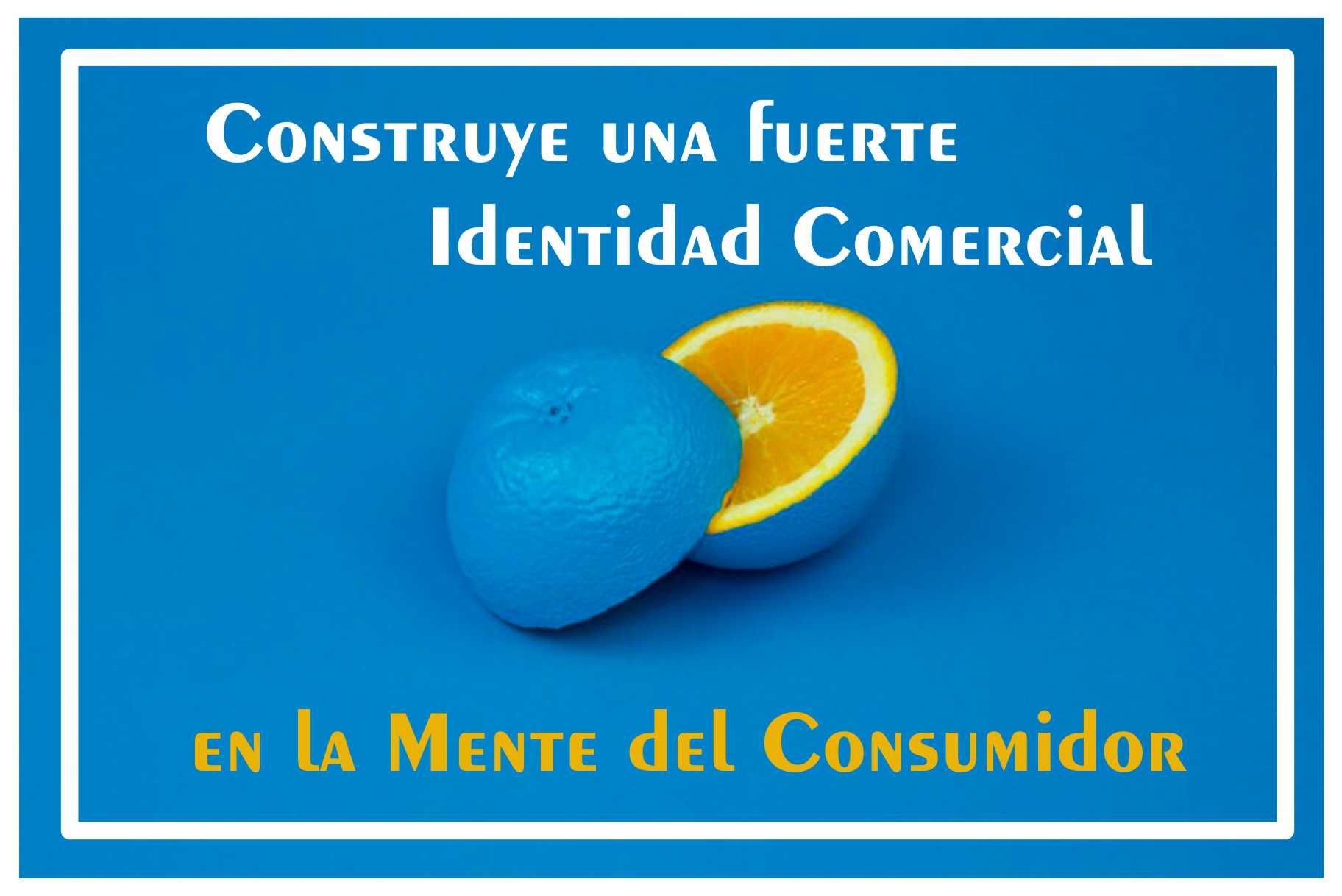 construye identidad comercial